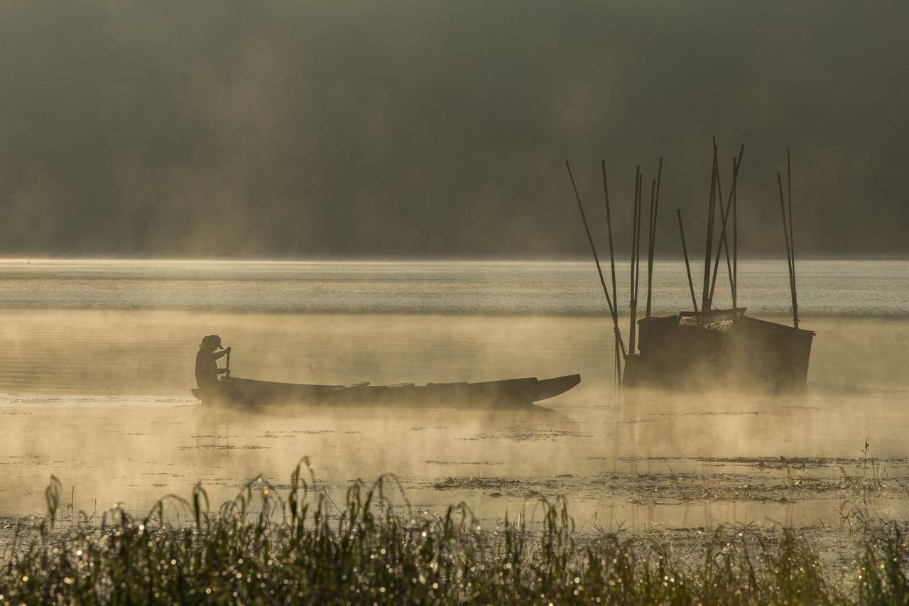 Barco, lago, agua, naturaleza, árboles, vista, madera, gente, turista, hombre, chico, césped,