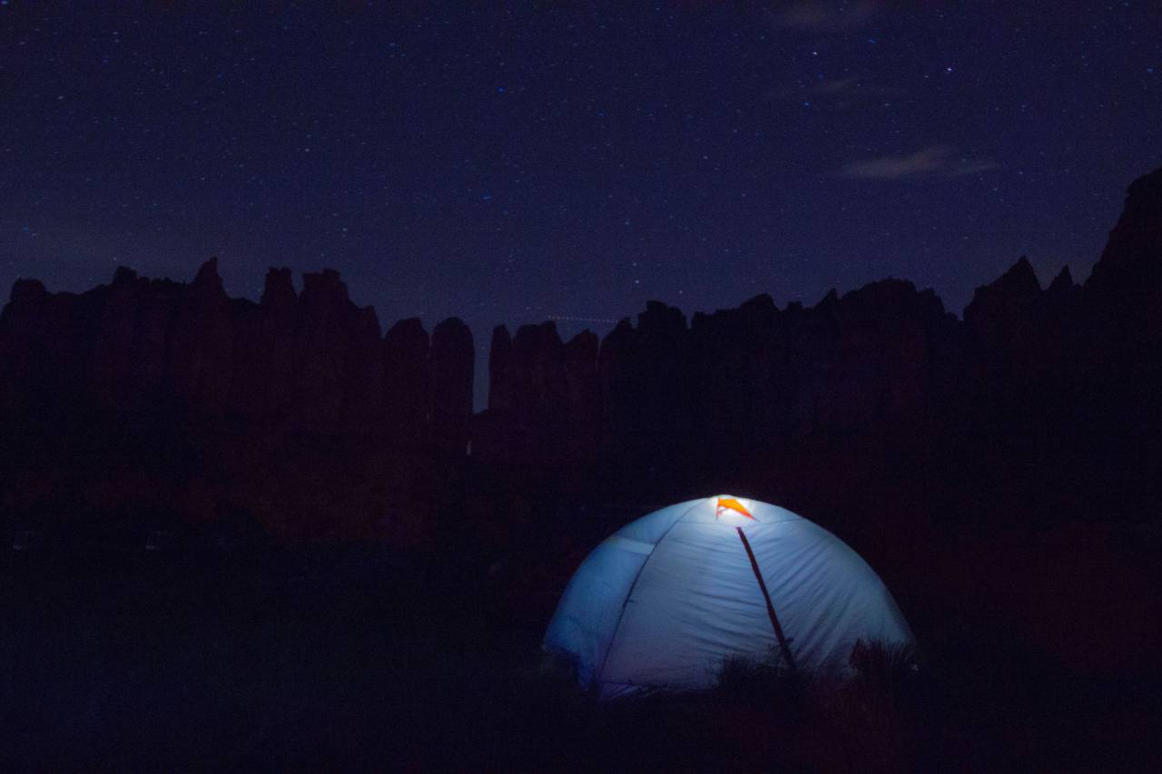 dark, night, trees, plant, forest, sky, stars, tent, lights, camping, outdoor, nature, adventure, travel
, 
