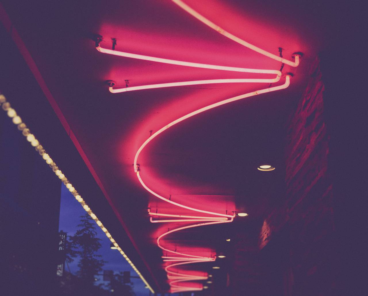 oscuro, noche, árboles, rood, techo, luz,