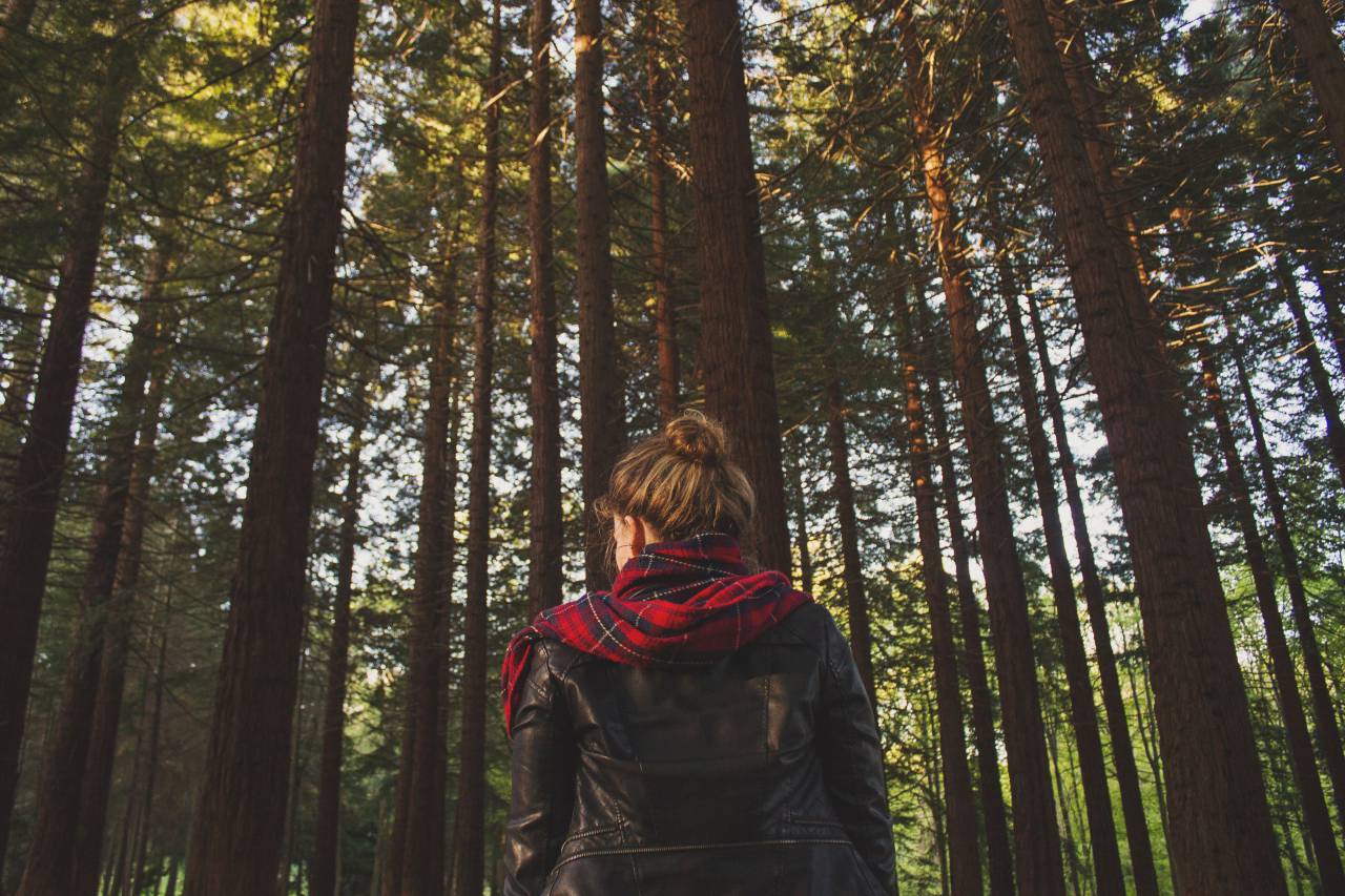 girl, leather, jacket, scarf, woods, forest, trees, nature, people, brunette
, 