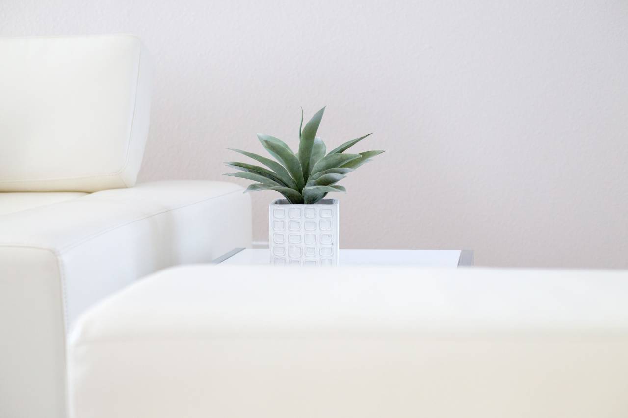 house, plant, interior, white, minimal, design, decor, decoration, vase, pot, table, couch, chair, indoor, modern
, 