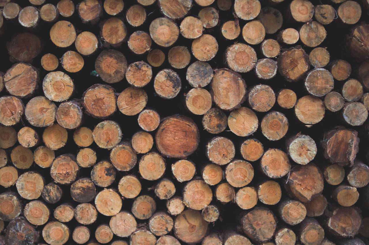 large, chopped, logs, wood, forest, woods, cut, stacked
, 