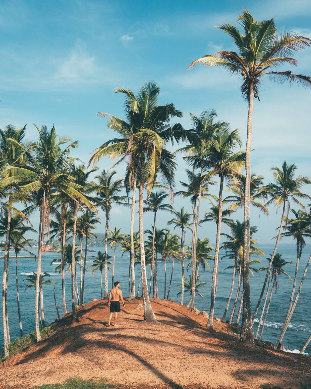 man, island, palm tree, tree, naturee, sand, beach, sea, ocean, blue sky, travel, vacation, holiday
, 