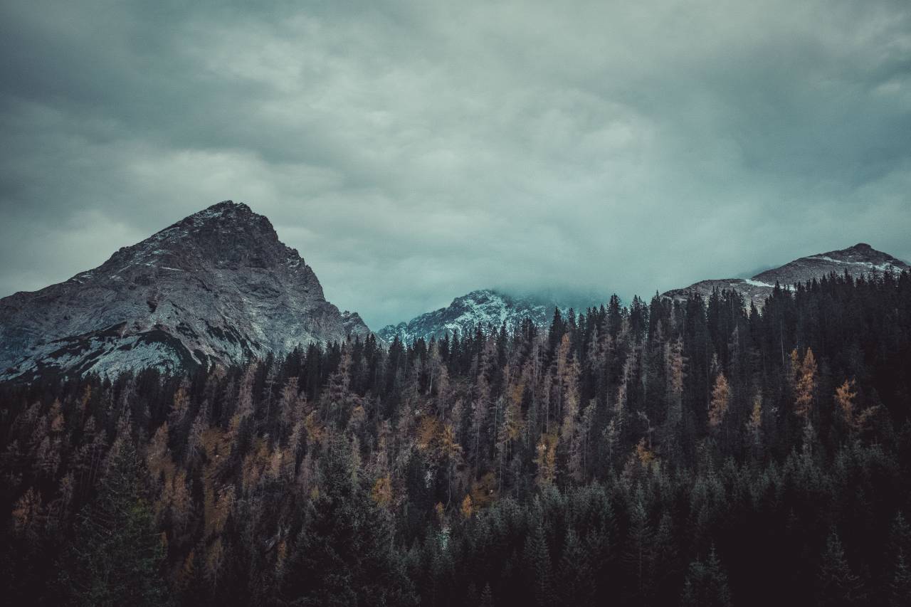Montaña, Highland, nublado, cielo, cumbre, Ridge, paisaje, naturaleza, valle, árboles, plantas, otoño, bosque,