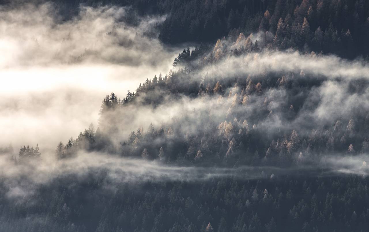naturaleza, montañas, paisajes, bosques, árboles, niebla, nubes,