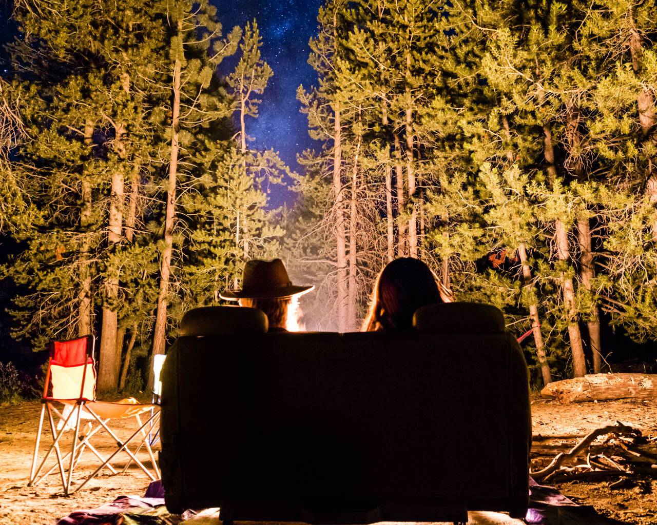 Gente, amigos, fecha, noche, hoguera, sofá, verde, árboles, plantas, naturaleza, camping, viajes, al aire libre,