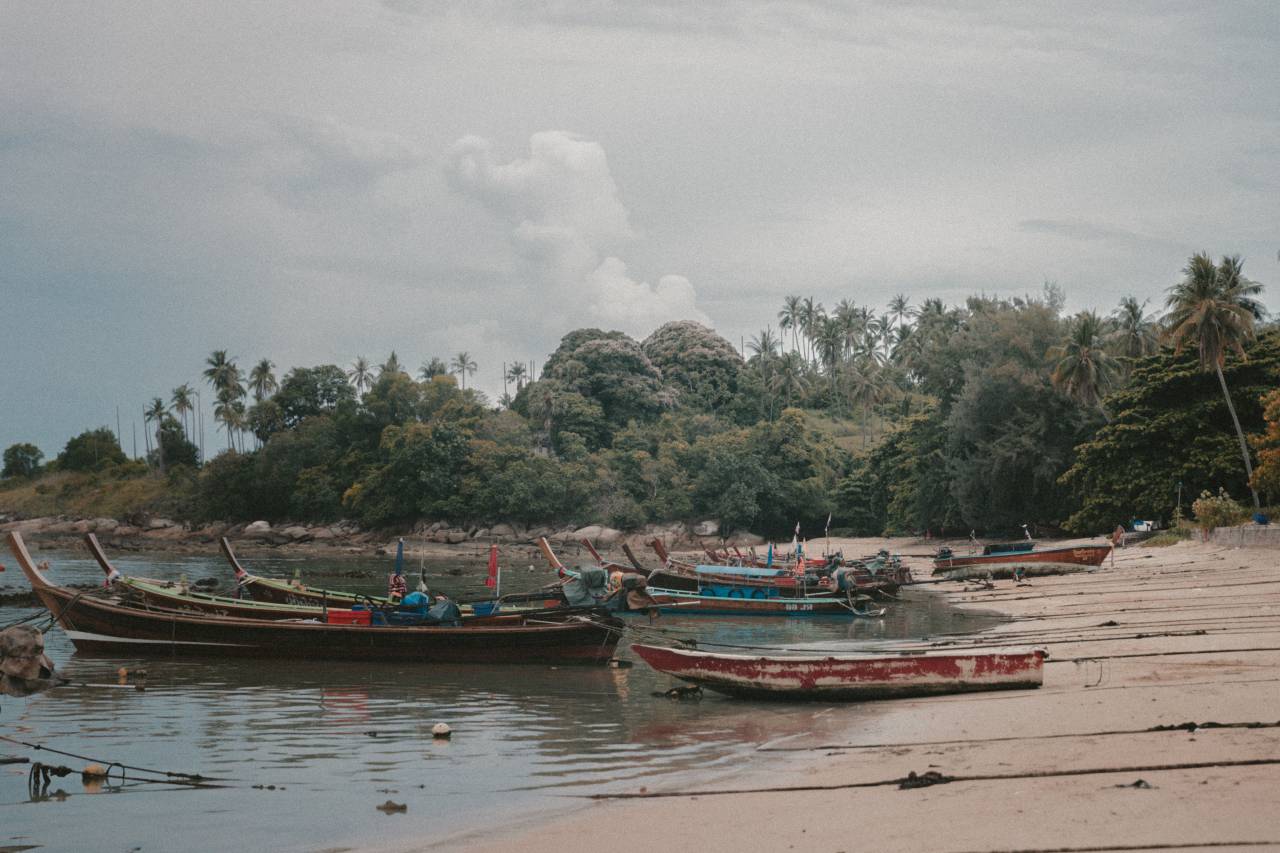 sea, water, sand, shore, coast, boat, fishing, trees, plant
, 