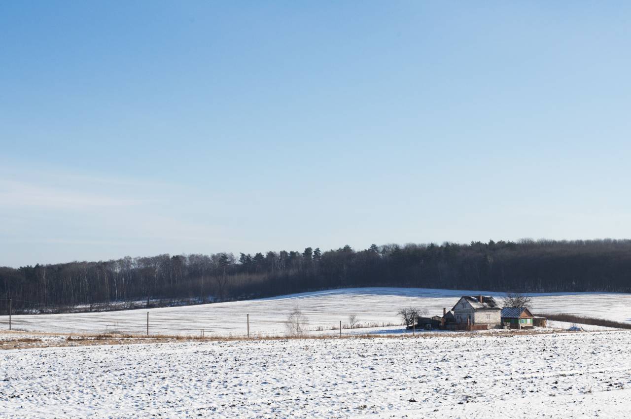 winter, snow, cold, field, rural, countryside, house, barn, trees, forest, blue, sky, landscape, nature, outdoors
, 