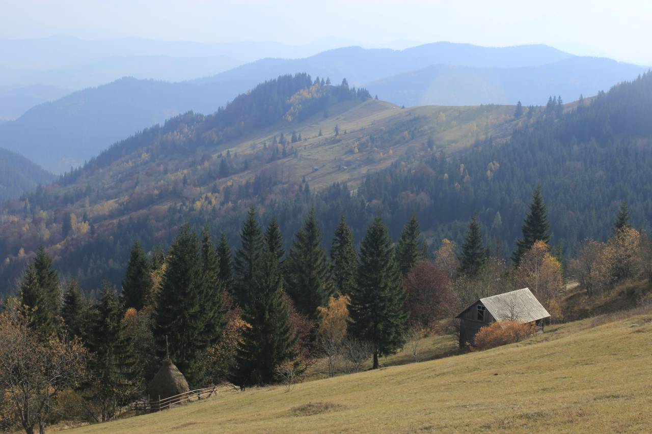 otoño, árbol, colina, montaña, cabaña, choza, naturaleza, cálido,