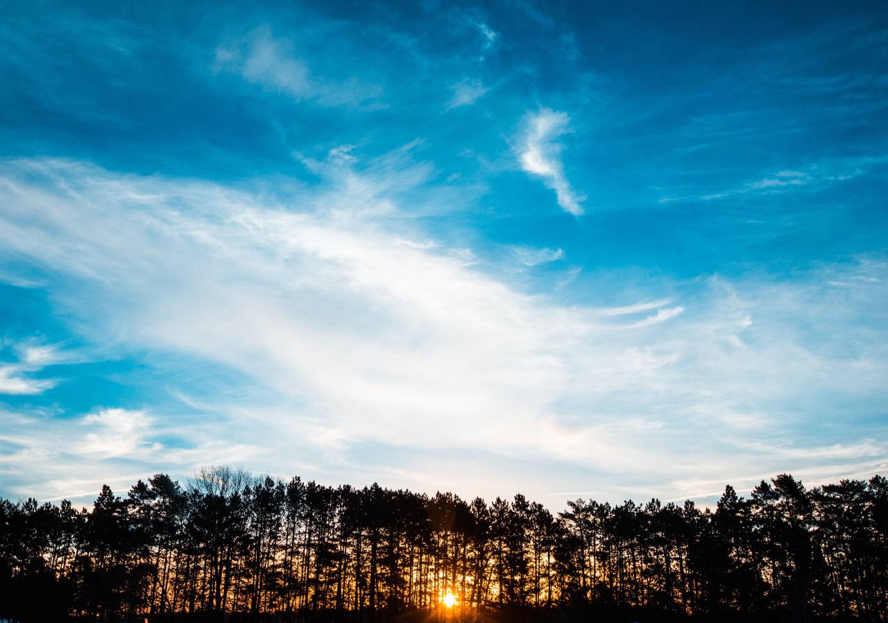 Azul, cielo, nubes, puesta de sol, sol, árboles, silueta, sombras, naturaleza, aire libre,