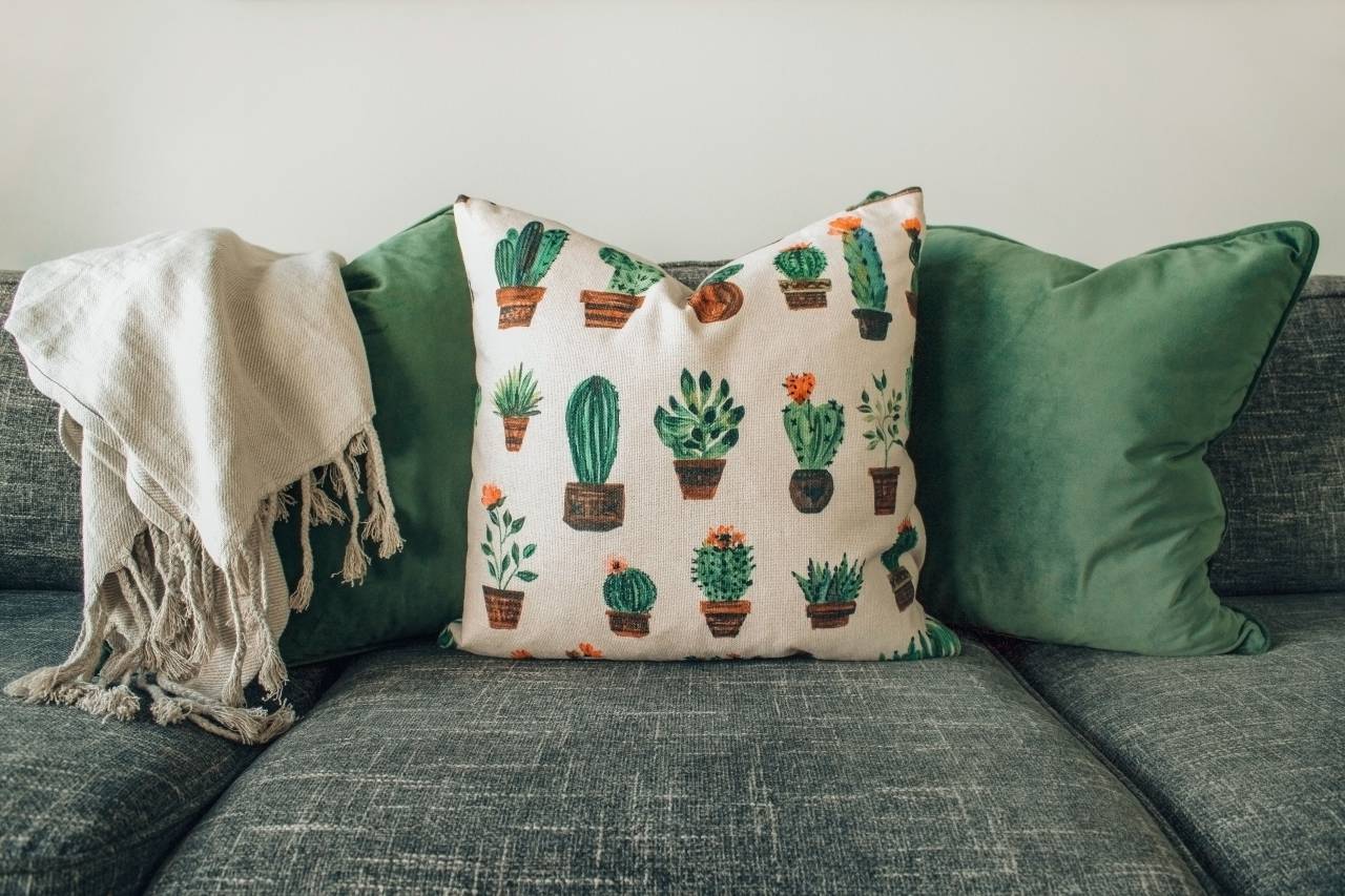 Cactus, interior, diseño, cojín, sofá, gris, verde, tirar, blanco, hogar, casa,