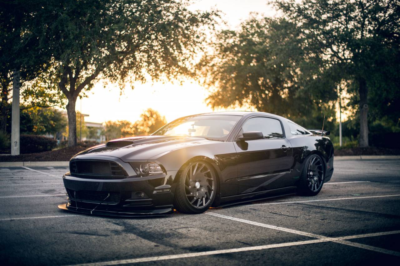 car, auto, vehicle, travel, trip, road, trees, plant, outside, sunrise, morning, bokeh, blur
, 