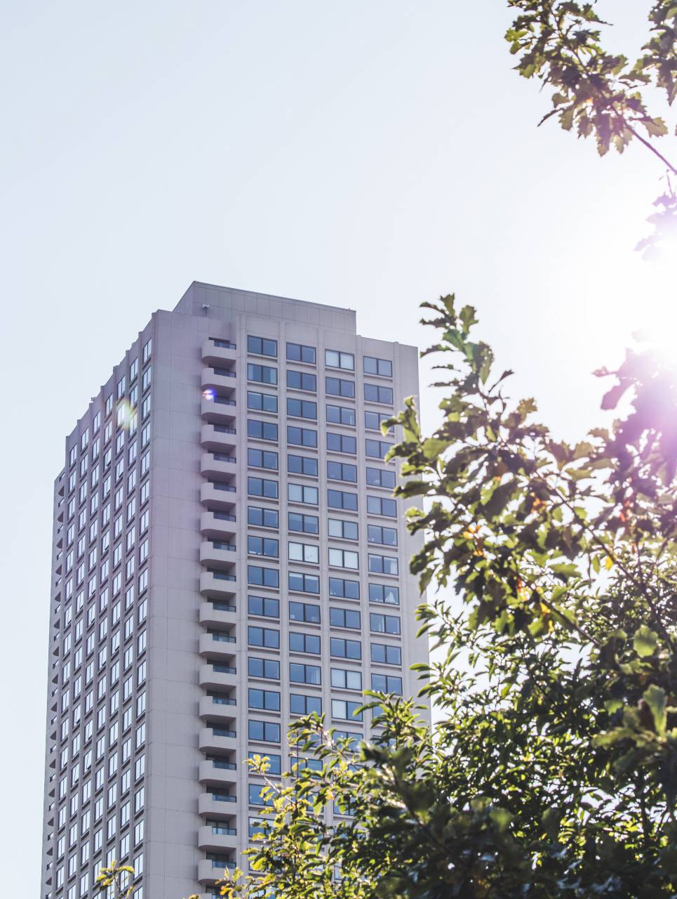 city, sky, windows, downtown, architecture, daytime, business, exterior, modern, structure, office, buildings, tree, facade, building, sun
, 