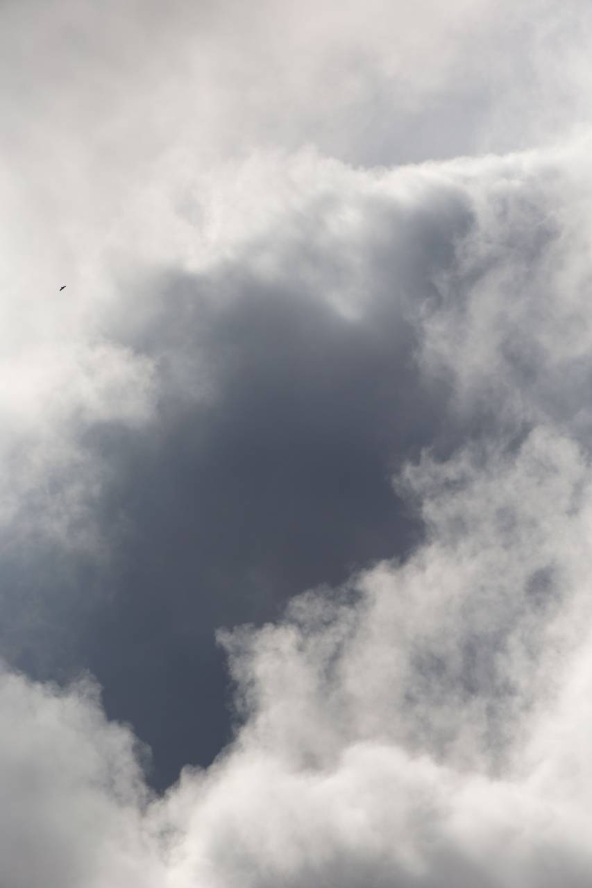 nubes, pájaro, volador, cielo, vuelo, nube, monocromático, dramático, silueta, paisaje, fondo, mínimo, naturaleza, azul, oscuro,