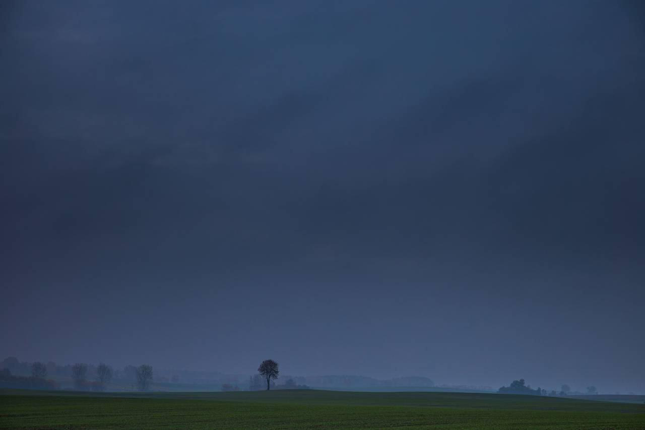 Oscuro, noche, tarde, tormenta, nubes, nublado, campo, césped, árboles, naturaleza, paisaje,