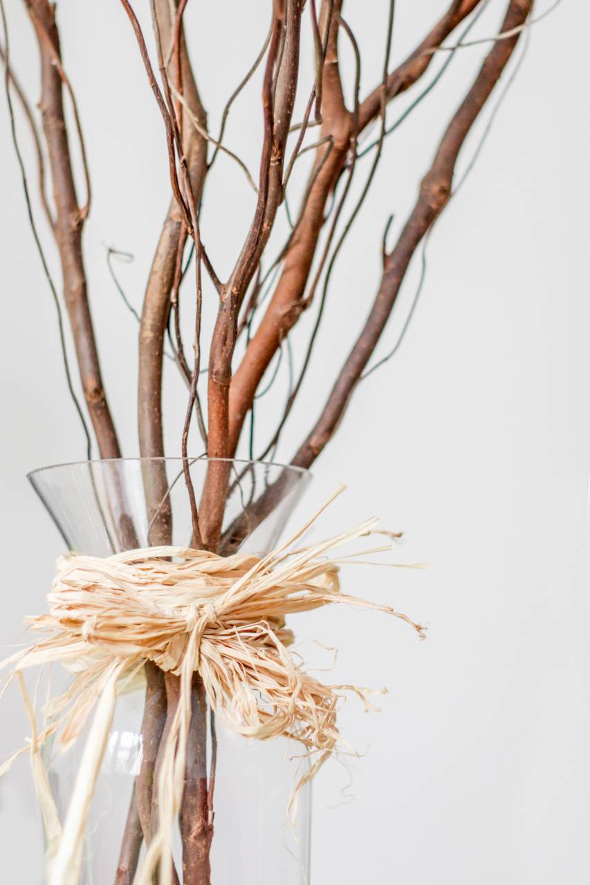 decorative, vase, branches, minimal, clean, close up, objects, pastel, simple, decor, background, bouquet, creative, design, interior, home, stylish
, 