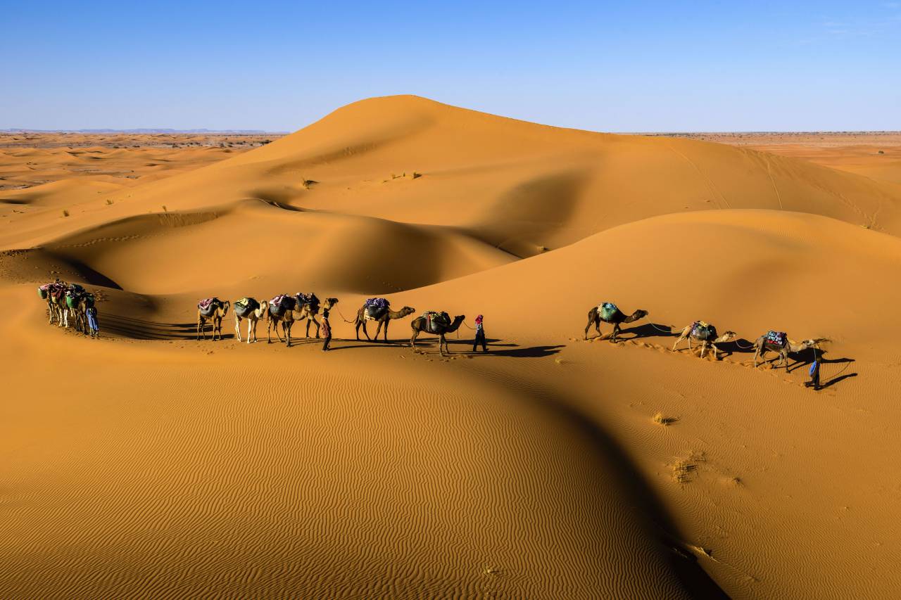 desert, landscape, sunny, highland, mountain, sky, camel, animal, blue, sky
, 