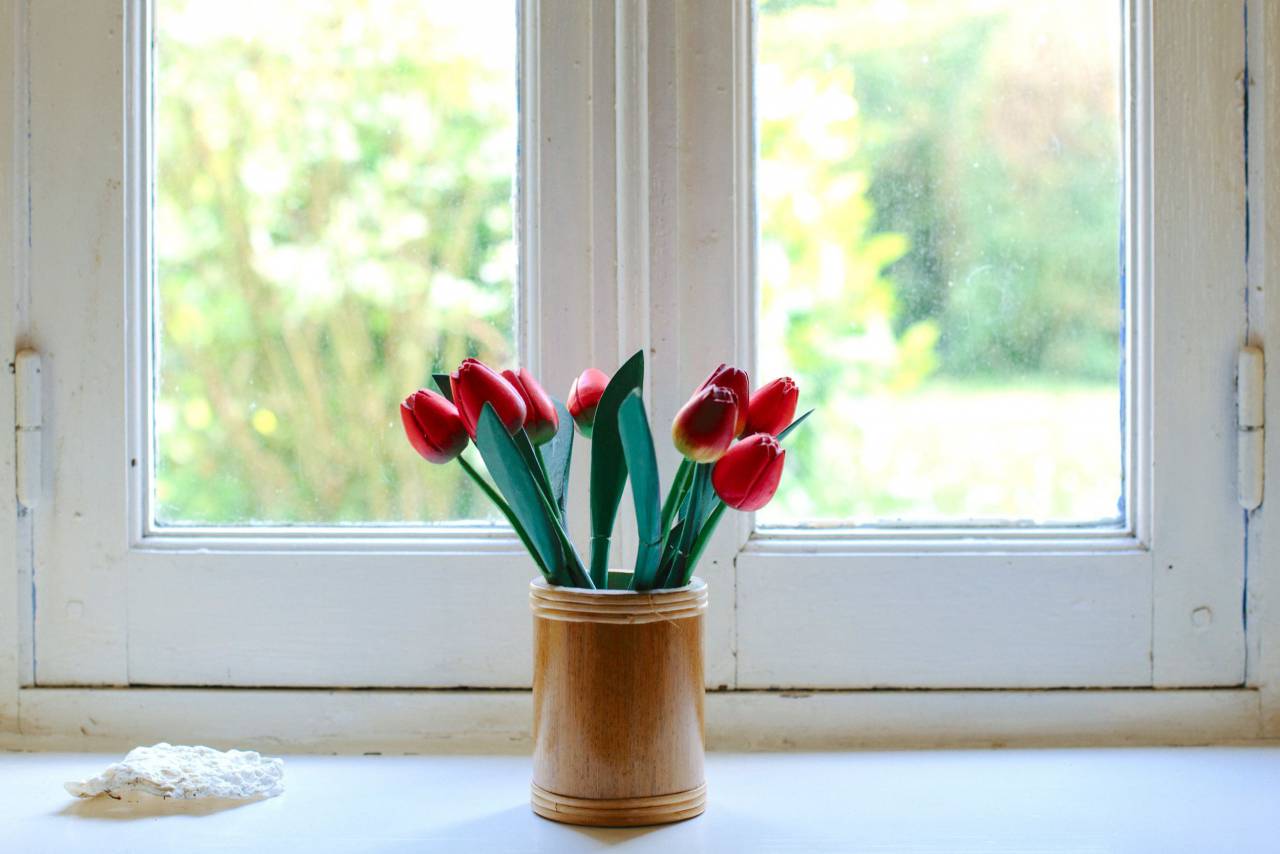 Flores, rosa, ventanas, blanco, rojo, estética, diseño, arte,