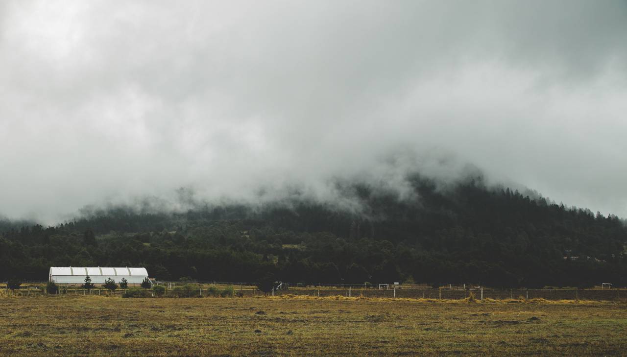 fog, mountain, hills, landscape, forest, trees, clouds, sky, nature, adventure, view
, 