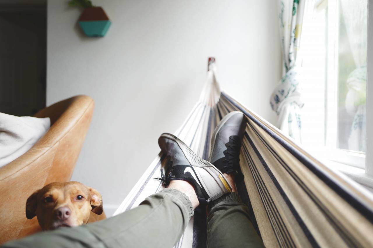 hammock, people, man, shoe, footwear, dog, pet, animal, couch, house, window
, 