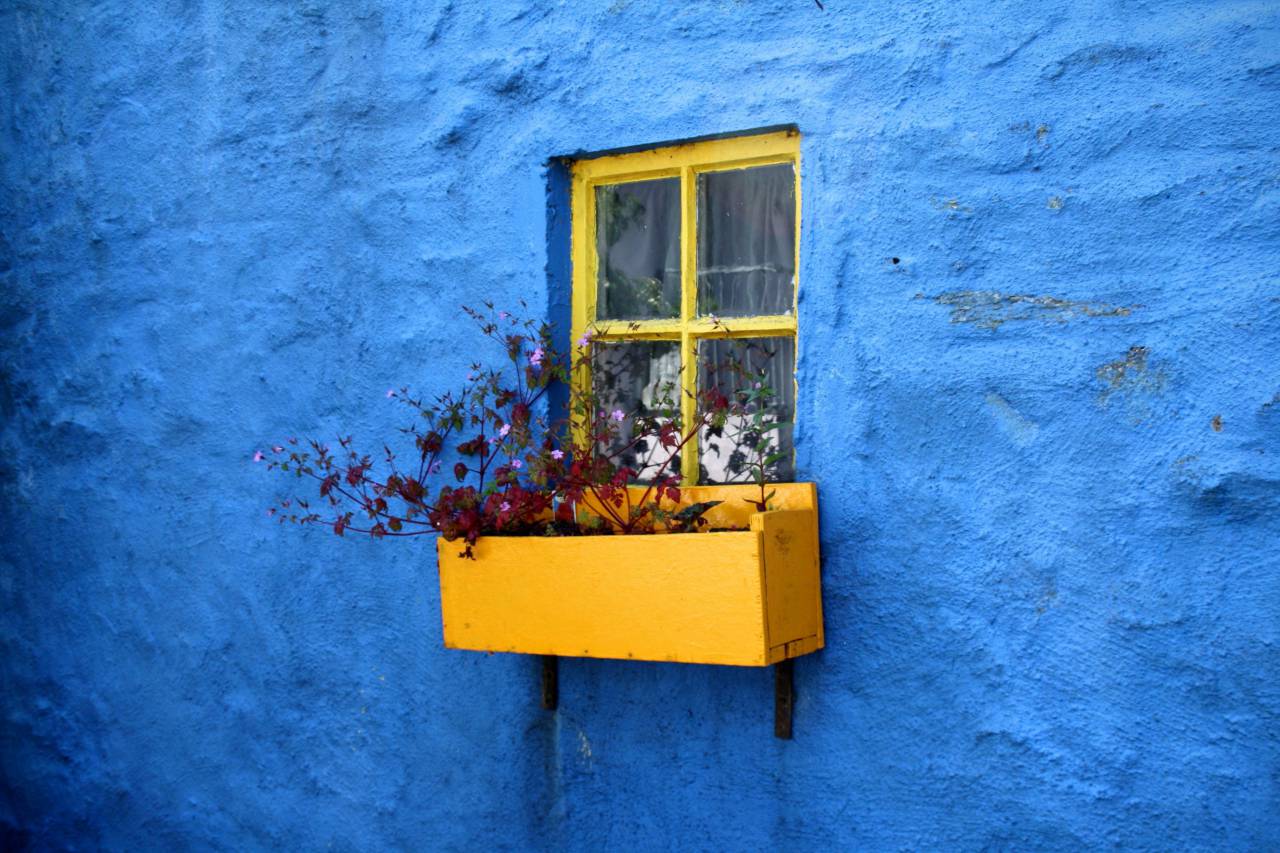 Casa, hogar, residencia, exterior, hormigón, azul, pared, ventana amarilla, panel, flores, caja, plantas todavía, minimalista,