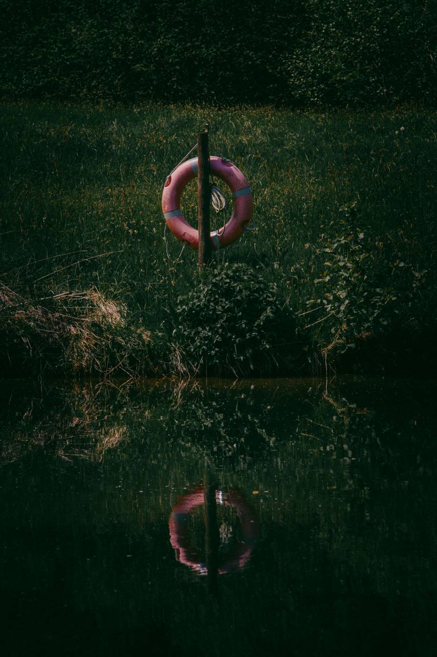 lifesaver, ring, river, refelction, water, lake, sea, swamp, red, dark, grass, green, help
, 