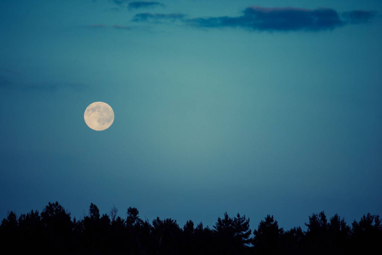 moon, sky, night, dark, silhouette, tree line, nature, dusk, landscape
, 