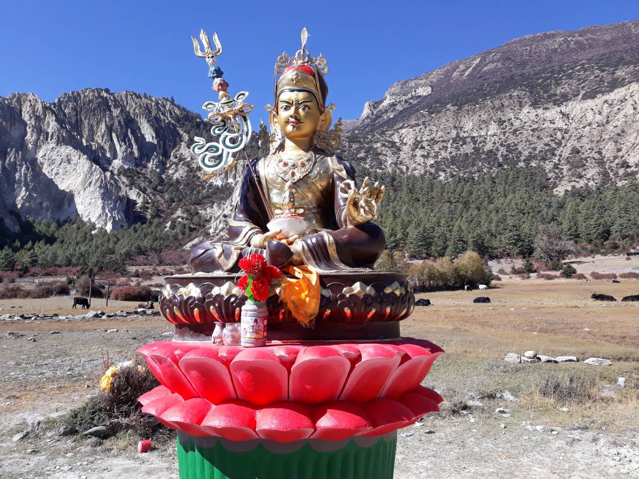 Nature, himalayas, mountain, snow, fresh, nature, beautiful, tilicho lake, himal, manang, khangsar, nepal, pawankawan, trekking, treknepal
, 