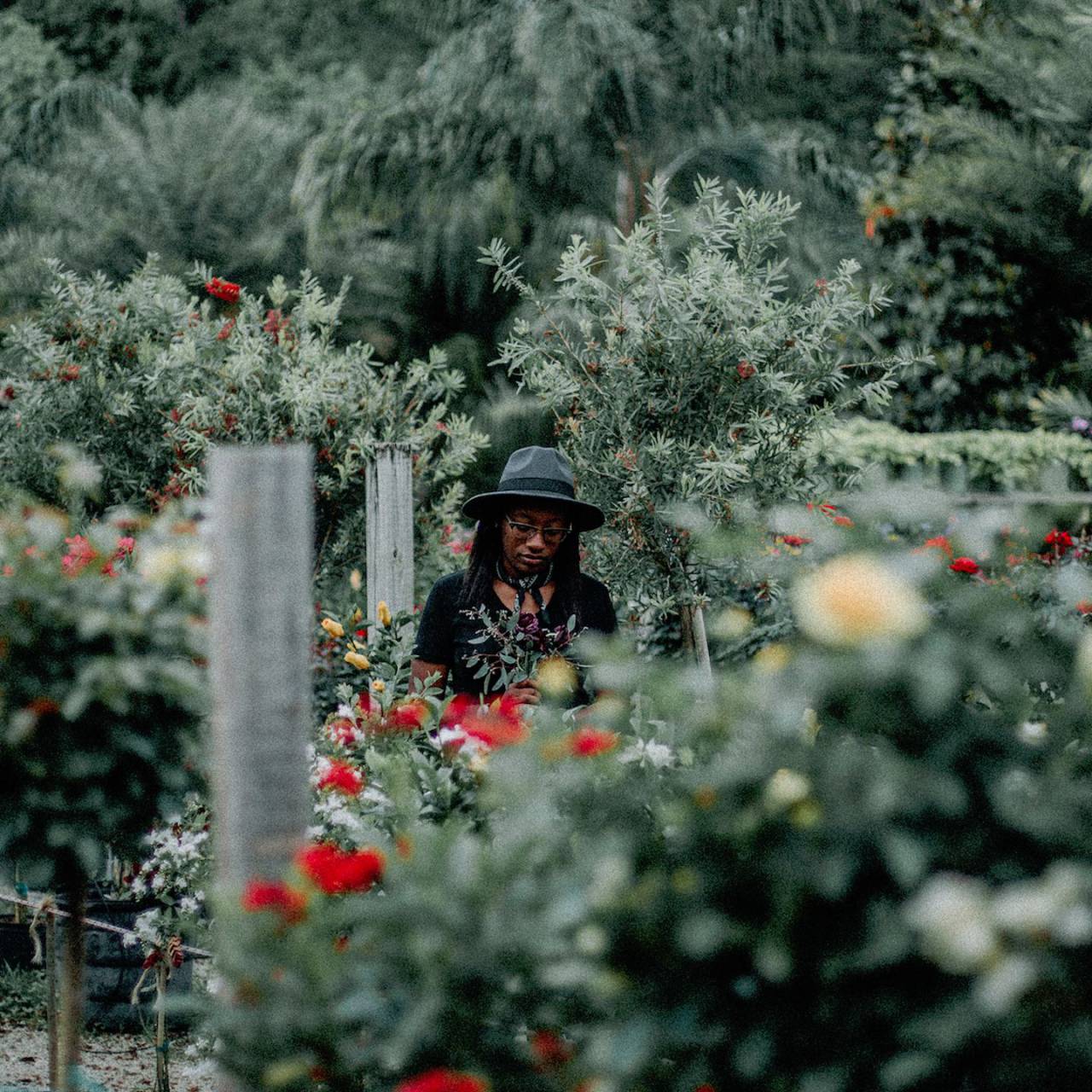 naturaleza, plantas, hojas, árboles, verde, flores, gente, niña, dama, mujer,
