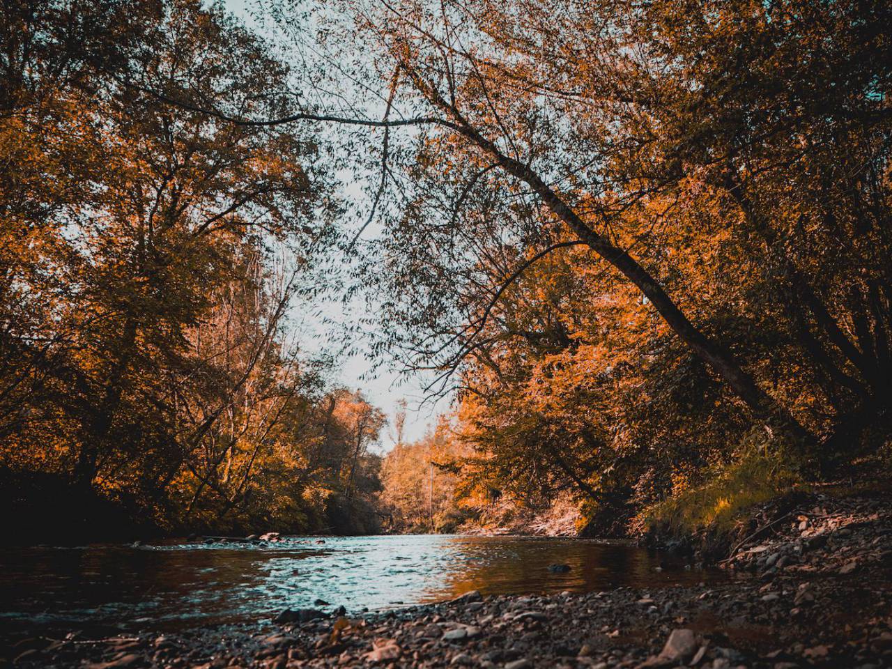 naturaleza, árboles, rocas, guijarros, agua, lago, río, cielo,