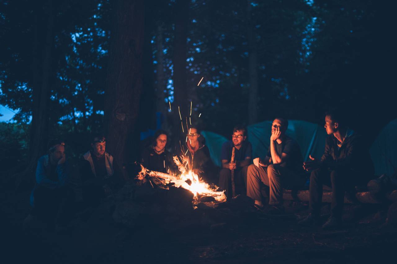 people, men, girls, campfire, burning, flame, camping, outdoor, adventure, trees, forest, dark, night, cold
, 