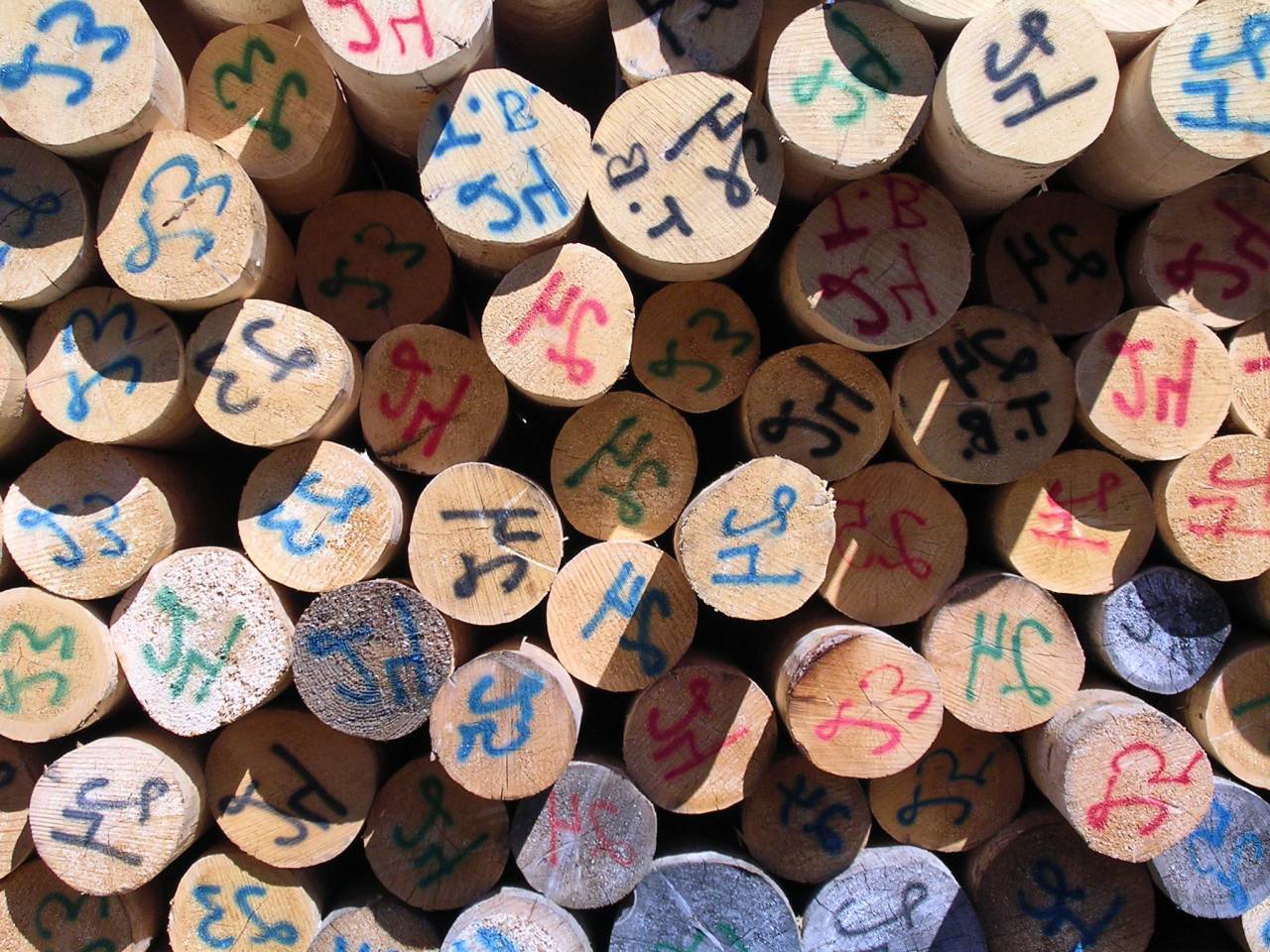 timber, pile of logs, logging industry, wood background, wood logs, logs at sawmill, trees, lumber, wood
, 