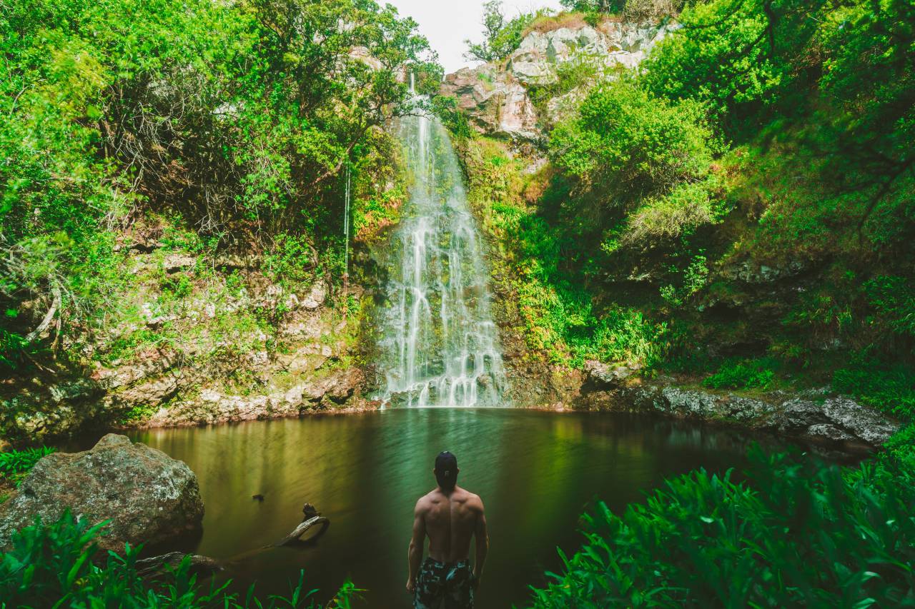 waterfall, green, grass, rocks, moss, trees, plant, nature, water, people, man, adventure, outdoor
, 