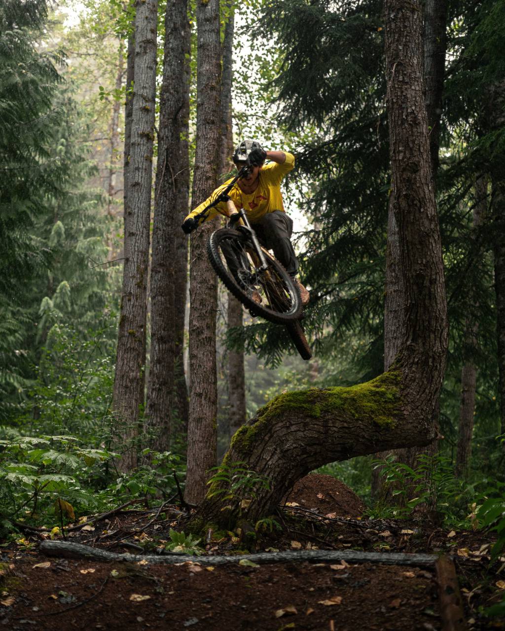 man;cyclist;mountain bike;forest;jumping,extreme sports,outdoors,men,nature,adventure,cycling,forest,sport,tree,mountain biking,motion,bicycle,one person,speed,recreational pursuit,adult,jumping,activity,leisure activity,exercising,fun,males,mountain,healthy lifestyle,cycle,lifestyles, 
