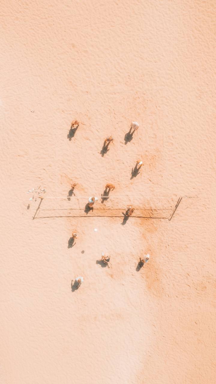 voleibol de playa;drone pov,naturaleza,animal,volador,insecto,al aire libre,arena,