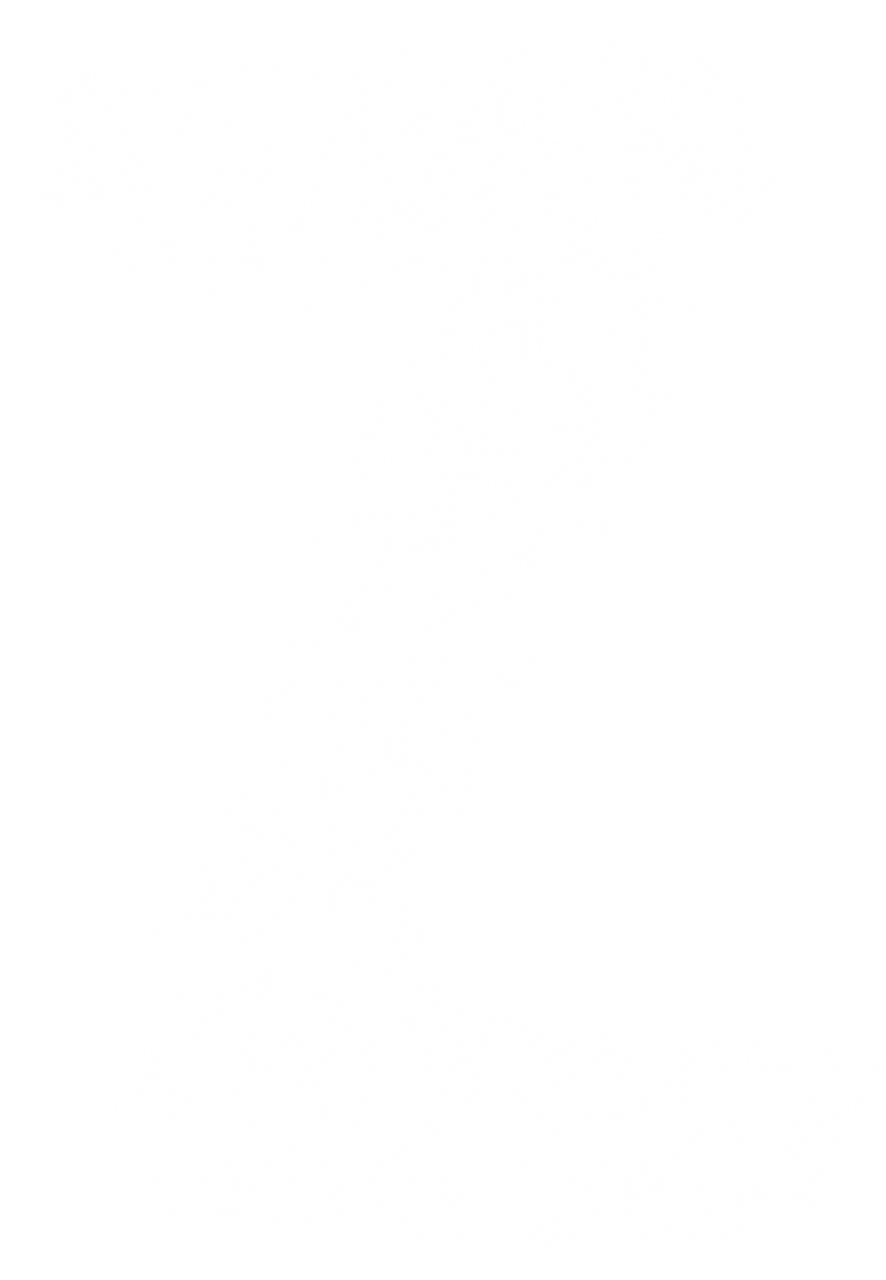 Z,alphabet,cloud shape,png,overlay,pattern,backgrounds,abstract,design,no people,decoration,nature,illustration,backdrop,textile