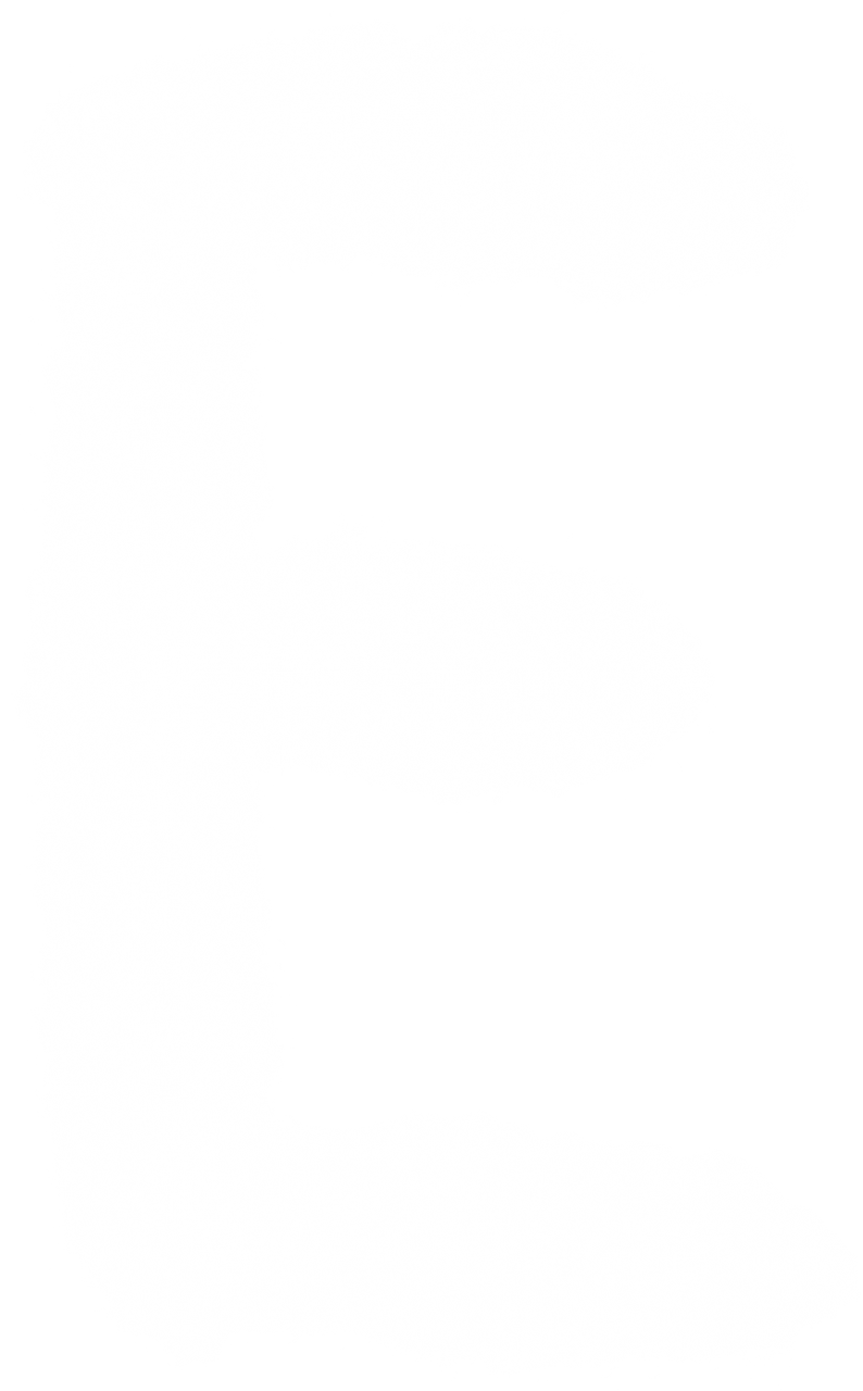 E,alfabeto,forma de nuvem,sobreposição,padrão,planos de fundo,resumo,sem pessoas,decoração,natureza,ilustração,pano de fundo,têxtil