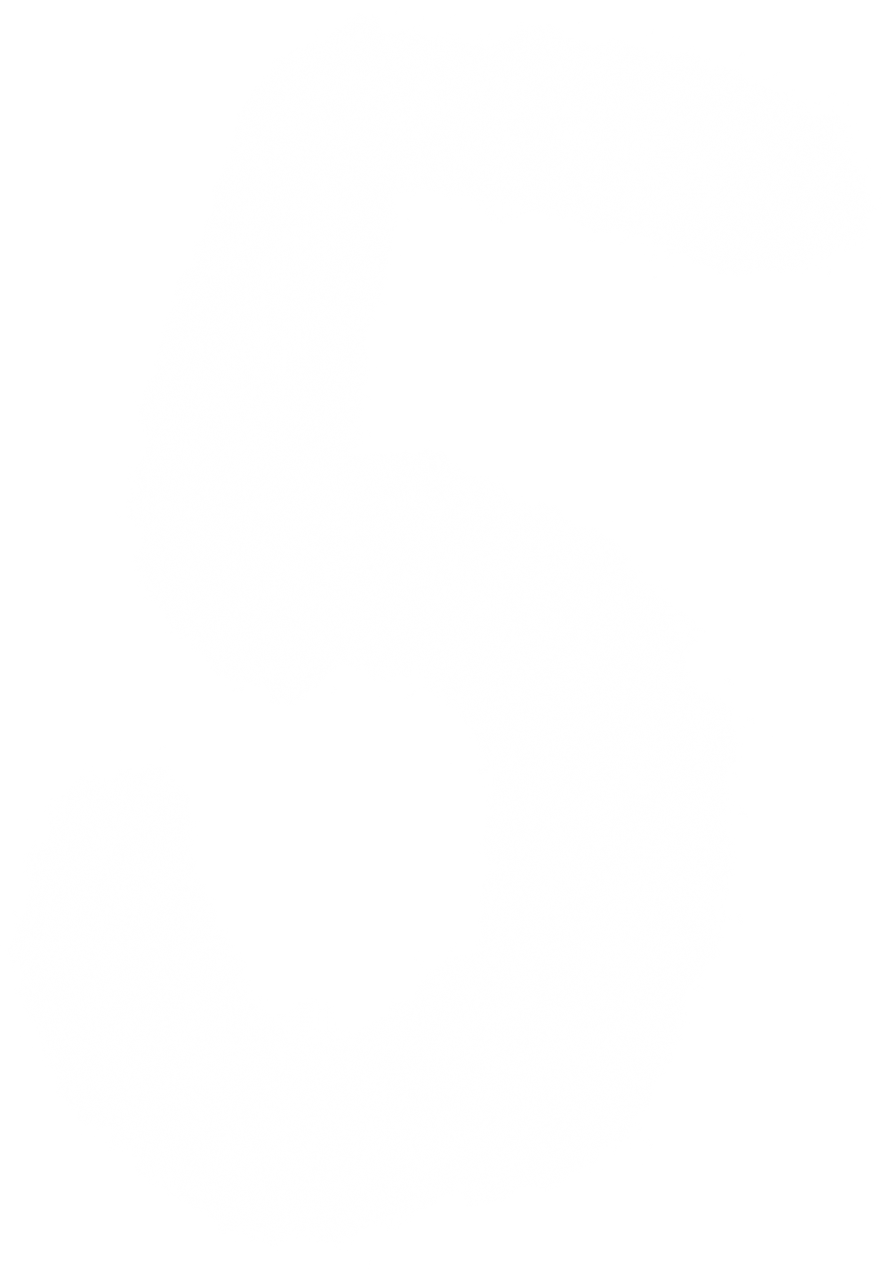  5,alphabet,cloud shape,png,overlay,,number,cloud shape,png,overlay,pattern,backgrounds,abstract,design,no people,decoration,nature,illustration,backdrop,textile