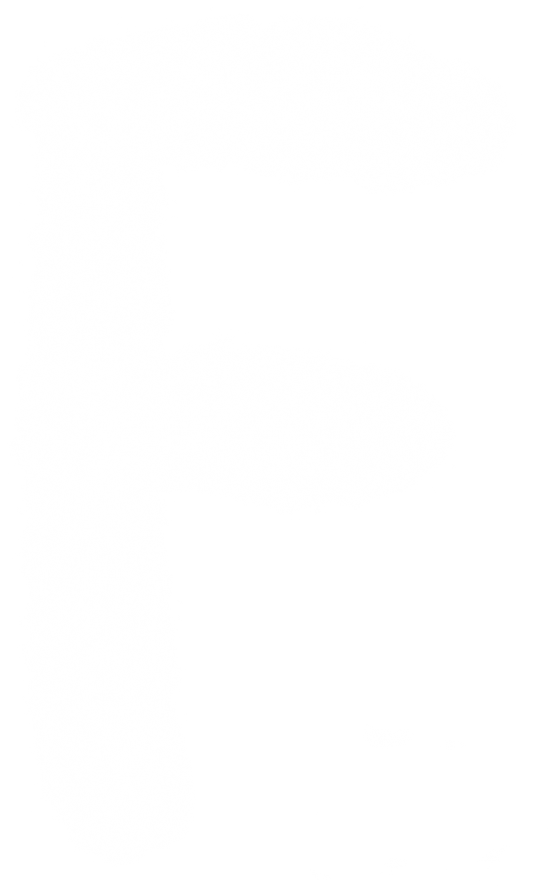F,alfabeto,forma de nuvem,sobreposição,padrão,planos de fundo,resumo,sem pessoas,decoração,natureza,ilustração,pano de fundo,têxtil