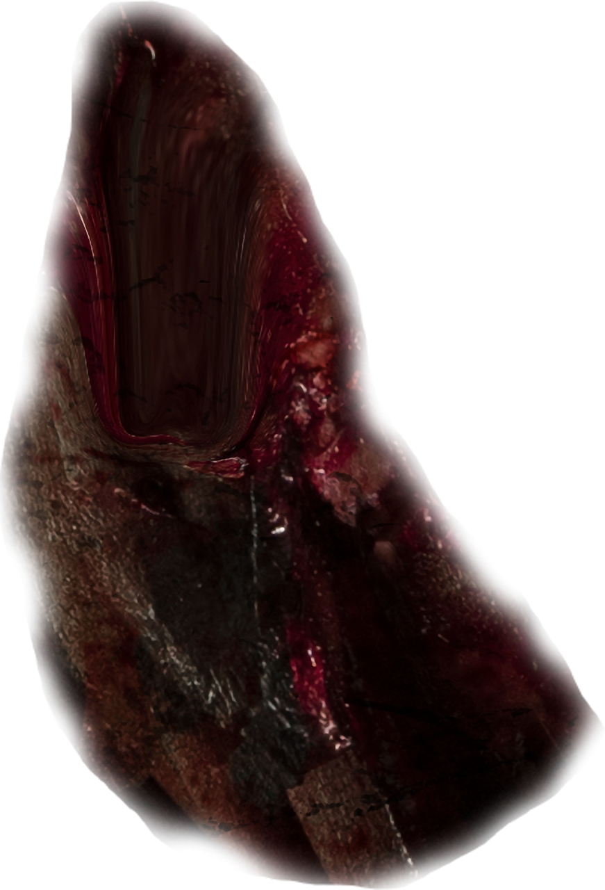  zombie,wound,halloween,overlay,png,backgrounds,abstract,close-up,nature,pattern,creativity,macro