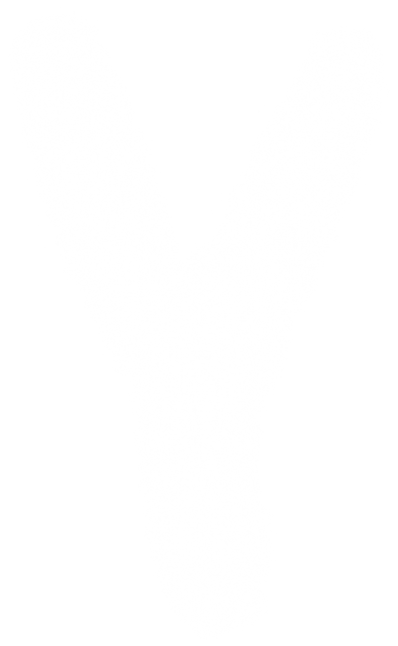  Y,alphabet,cloud shape,png,overlay,pattern,backgrounds,abstract,design,no people,decoration,nature,illustration,backdrop,textile
