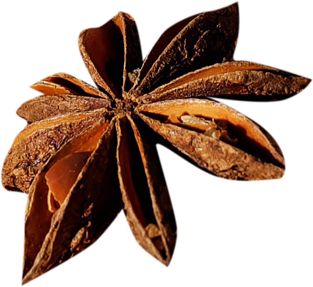  Pinecone,overlay,png,close-up,spice,food,macro,nature,dark,backgrounds
