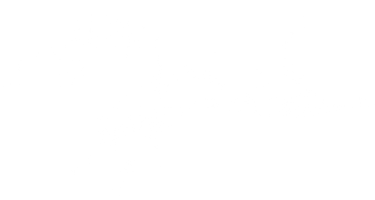  nature, splash, liquid, water, wet, fresh, splashing, clean, isolated, background, flowing, transparent, motion, abstract, vector, freshness, pure, wash, smooth, fluid, realistic, natural, spray, texture, stream, clipart, overlay, png