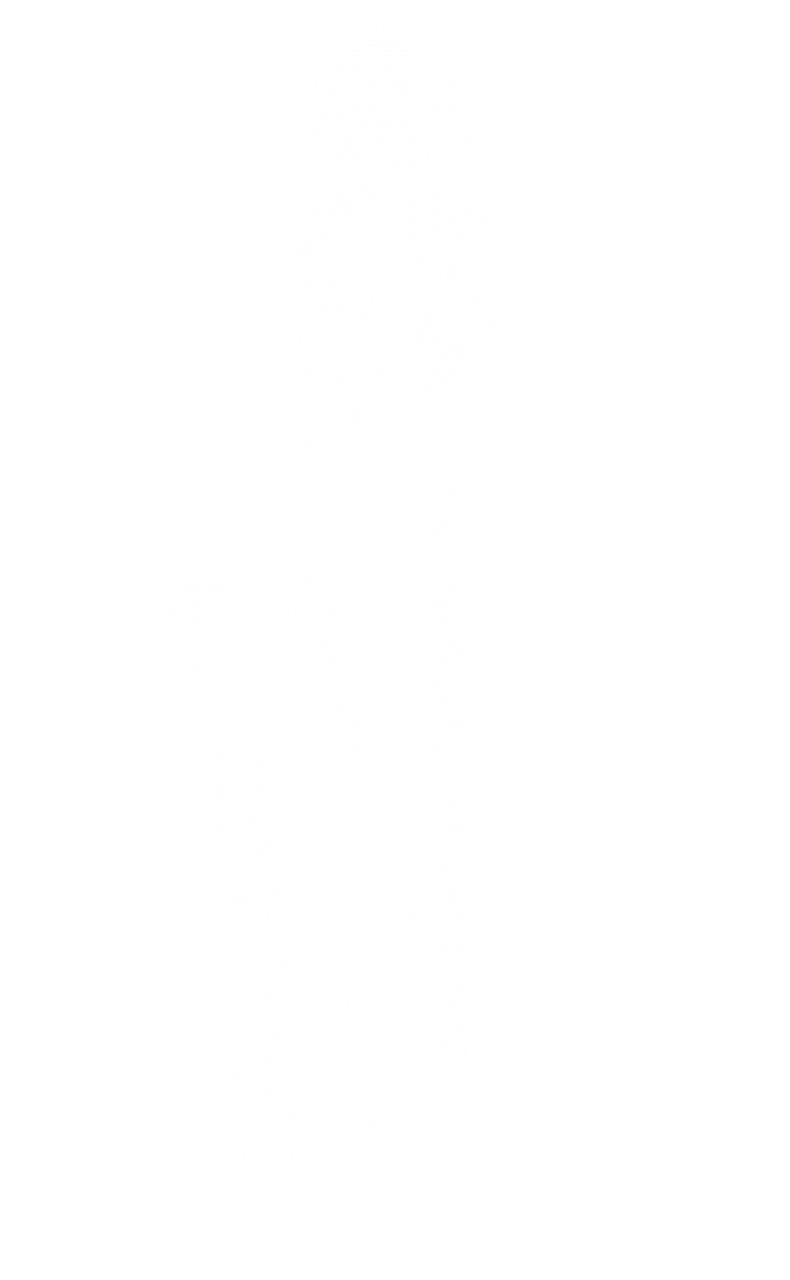  nature, splash, liquid, water, wet, fresh, splashing, clean, isolated, background, flowing, transparent, motion, abstract, vector, freshness, pure, wash, smooth, fluid, realistic, natural, spray, texture, stream, clipart, overlay, png