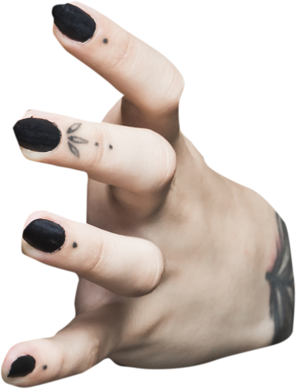 🥇 Image Of Zombie Hand Dead Halloween Overlay Human Hand Png 【free Photo】 100035490 3255