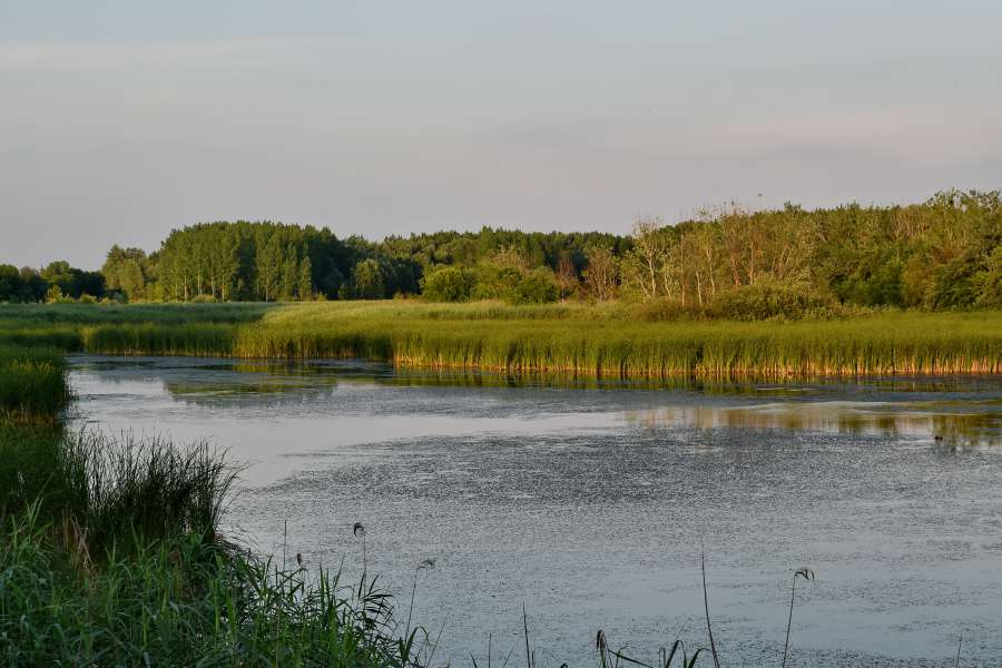 channel, swamp, land, water, river, lake 
