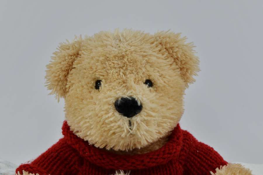 plush, toy, teddy bear toy, winter, gift 