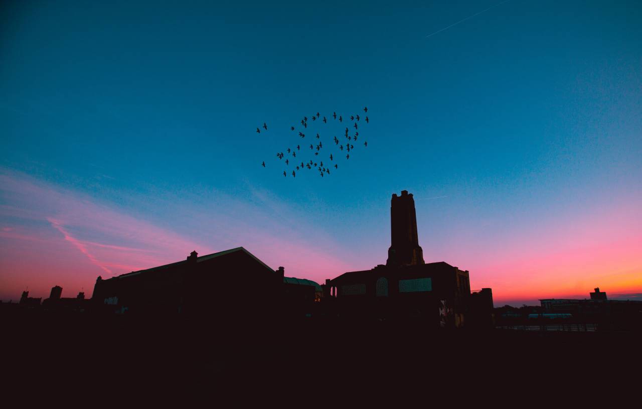 arquitectura, edificio, infraestructura, puesta de sol, cielo, nube, silueta,