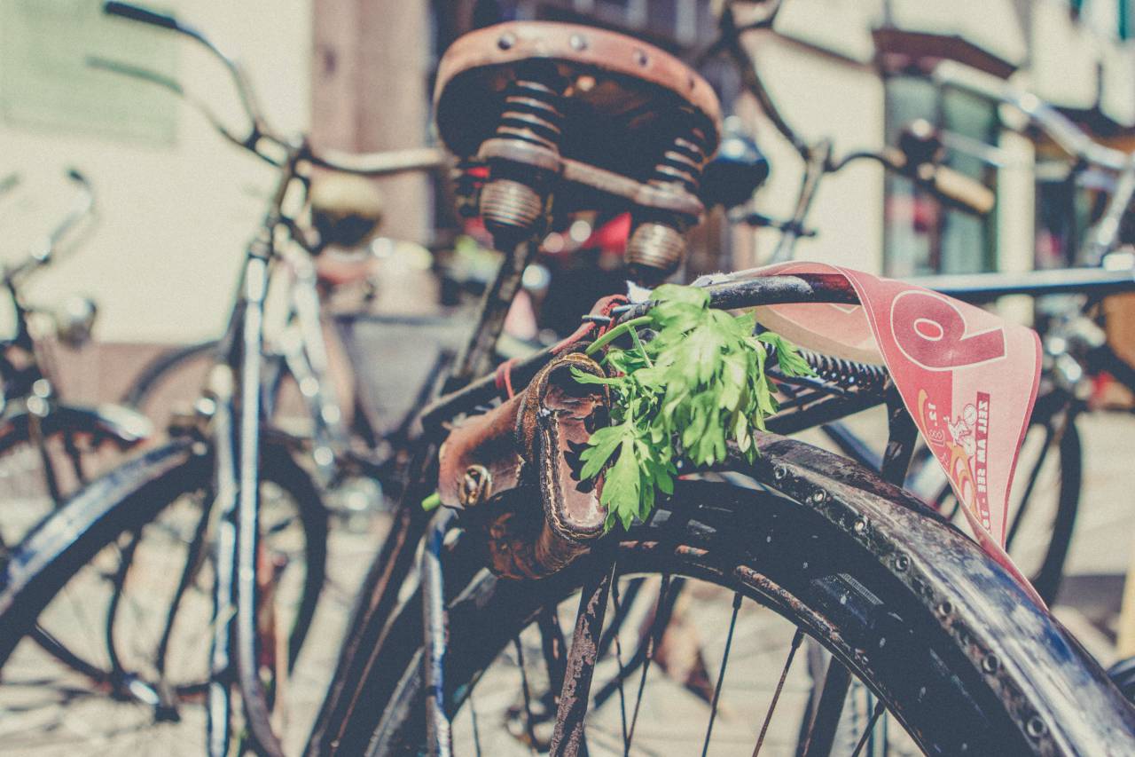 antiguo, bicicleta, billetera, cuero, hojas, llanta, oxidado,