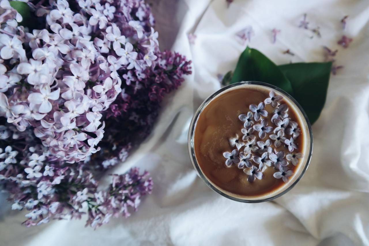 Flores, naturaleza, flores, lila, pétalos, arreglo, vidrio, bebidas, hojas, mesa, ajuste, violeta, púrpura, blanco,